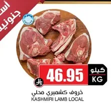 خروف كشميري محلي