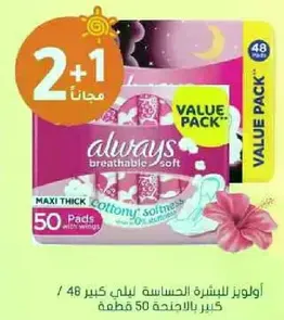 اولويز للبشره الحساسه ليلا كبير 48 / كبير بالاجنحه 50 قطعه.