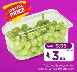 عنقود ابيض بعبوه بلاستيكيه