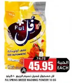 فل مسحوق غسيل نسيم الربيع 10 كجم