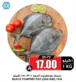 سمك بومفريت اسود (300/500) كيلو