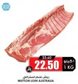 ريش غنم استرالي