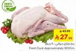 بطه طازجه حوالي 900 جرام