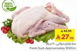 بط طازج حوالي 900 جرام