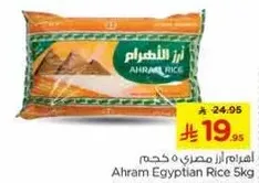 اهرام ارز مصري 5 كجم