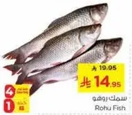 سمك روهي