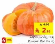 يقطين احمر للكيلو