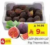 تين صندوق ملين
