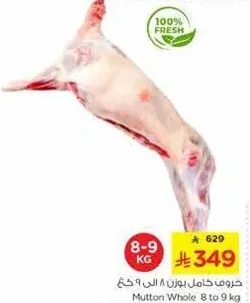 خروف كامل بوزن 8 الي 9 كغ.