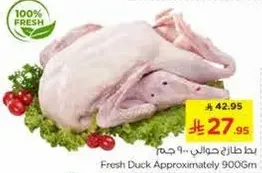 بطه طازجه حوالي 900 جرام