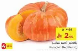 بغتن احمر للكيلو