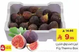 تين صندوق فليتس