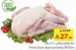بطه طازجه حوالي 900 جرام