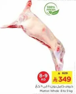 خروف كامل بوزن 8 الي 9 كغ.