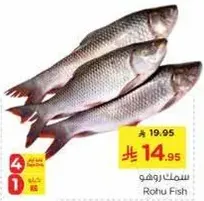 سمك روهو
