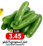 Cucumber (Saudi)/KG