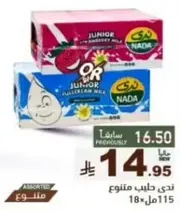 Nada Junior Full Cream Milk