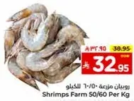 Shrimps Farm 50/60 Per Kg