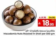 Macadamia Nuts Roasted in Shell per 500 gm