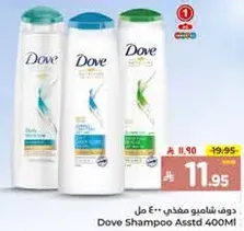 Dove Shampoo Assorted 400ml