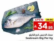 Seabream Big Per Kg