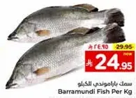 Barramundi Fish Per Kg