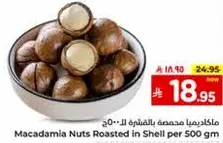 Macadamia Nuts Roasted in Shell per 500 gm
