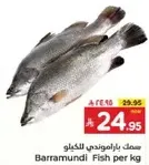 Barramundi Fish per kg