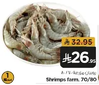 Shrimps farm. 70/80