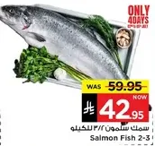 Salmon Fish 2-3 kg