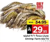 Shrimp Farm 60/70