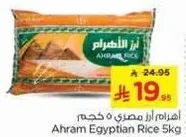 اهرام ارز مصري 5 كجم