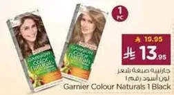 Garnier Colour Naturals 1 Black