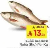 Rohu (Big) Per Kg