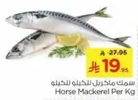 Horse Mackerel Per Kg