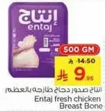 انتاج صدور دجاج طازجه بالعظم.