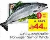 Norwegian Salmon Whole