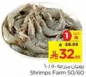 Shrimps Farm 50/60