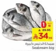 Seabream big