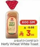 خبز توست جامور هيرفي