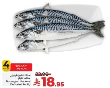 Norwegian Mackerel Defrosted Per Kg