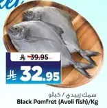 Black Pomfret (Avoli fish)/Kg