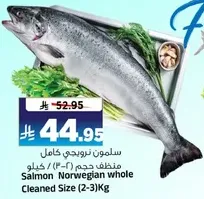 Salmon Norwegian whole Cleaned Size (2-3) Kg