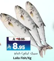 Laila Fish/Kg