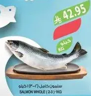 Whole salmon (2-3 kg)