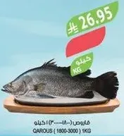 Fresh fish available for sale.