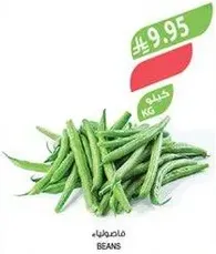 فاصوليا