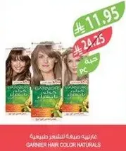 Garnier Hair Color Naturals