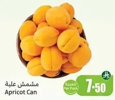 مشمش علبه