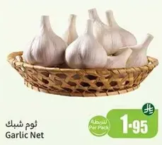 ثوم شبك
